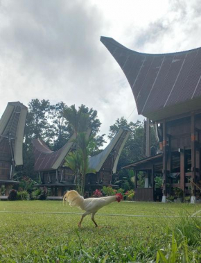 Toraja Homestay & Coffee Bunna